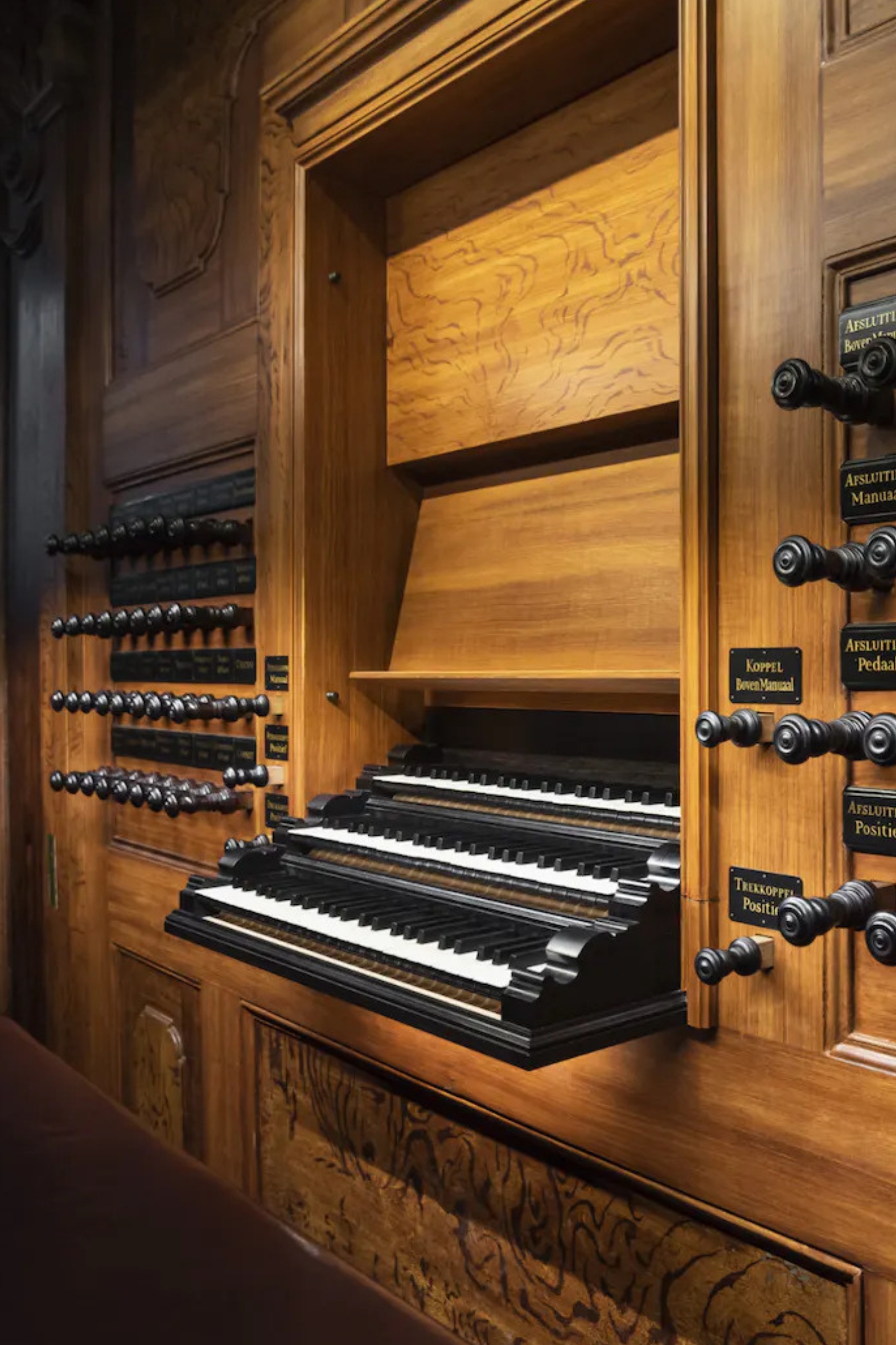 Johannus Organs Bernies Music Land